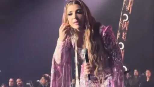 فن
