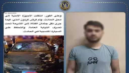 أخبار مصر