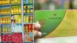 أخبار مصر