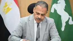 أخبار مصر