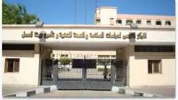 تريندات