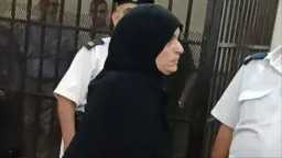 أخبار مصر