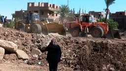 أخبار مصر