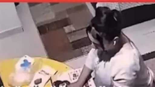 أخبار مصر