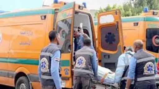 أخبار مصر