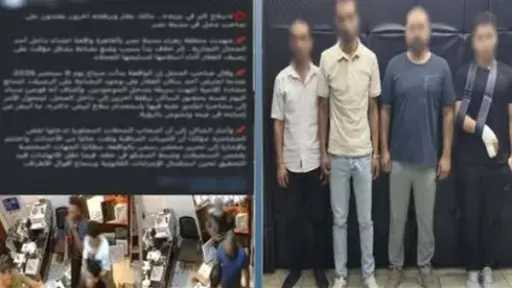أخبار مصر