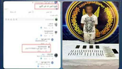 أخبار مصر