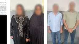 أخبار مصر