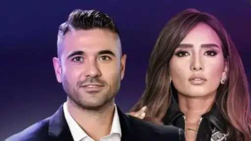 فن