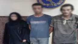 أخبار مصر