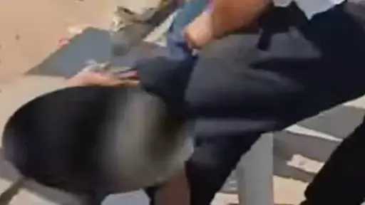 أخبار مصر