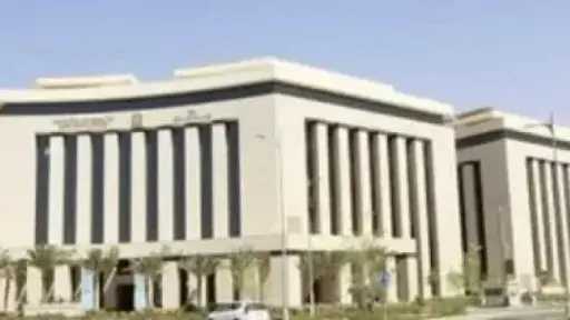 أخبار مصر