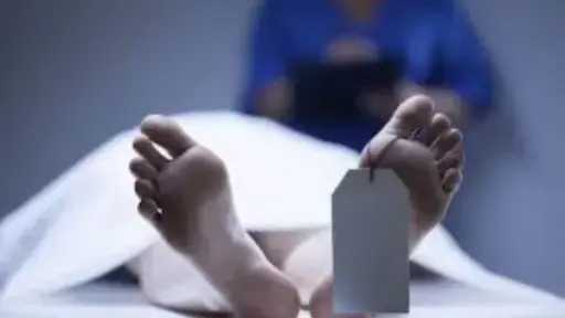 أخبار مصر