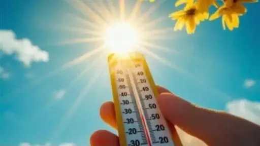 أخبار مصر