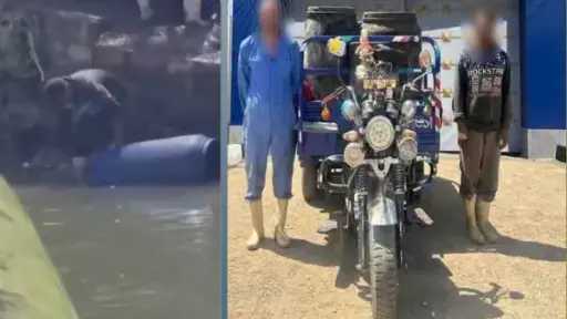 أخبار مصر