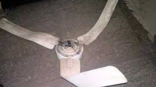 أخبار مصر