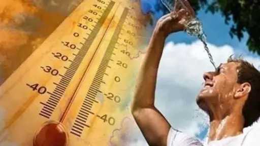 أخبار مصر