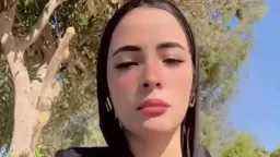 أخبار مصر