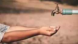 أخبار مصر