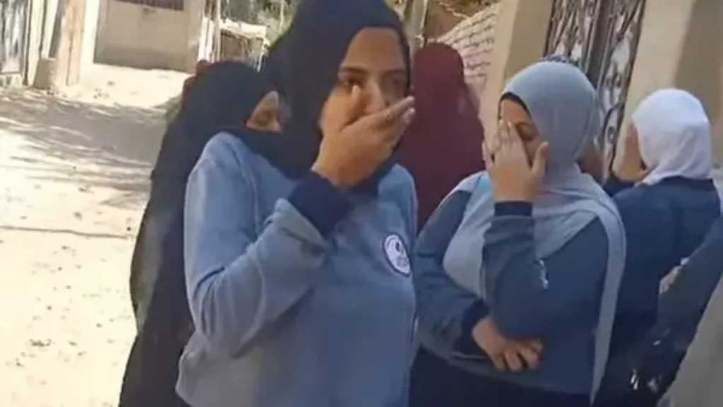 أخبار مصر