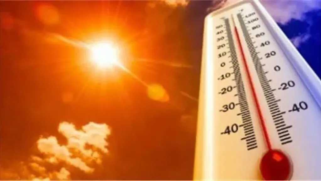 أخبار مصر