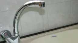 أخبار مصر