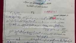 أخبار مصر