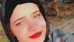 أخبار مصر