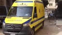 أخبار مصر