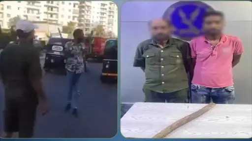 أخبار مصر