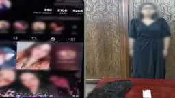 أخبار مصر