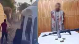 أخبار مصر