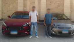 أخبار مصر
