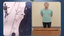 أخبار مصر