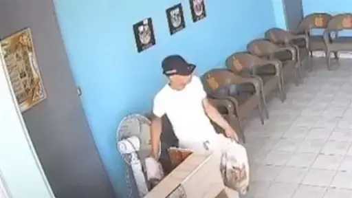 أخبار مصر