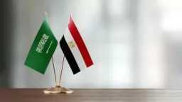 أخبار مصر
