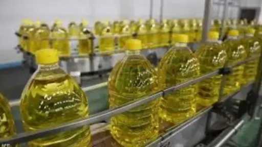 أخبار مصر
