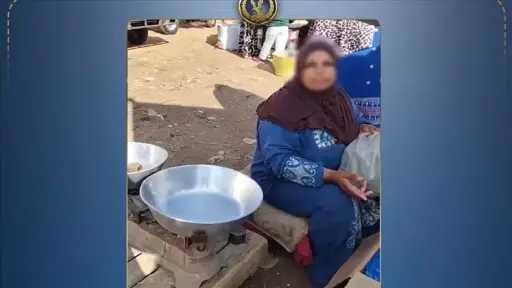 أخبار مصر