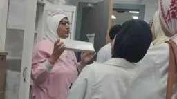 أخبار مصر