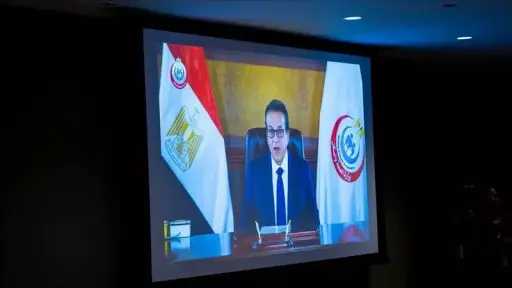 أخبار مصر