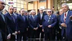 أخبار مصر