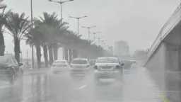 أخبار مصر