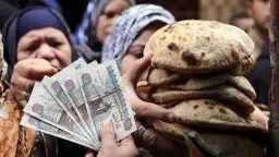 أخبار مصر