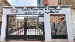 أخبار مصر