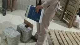 أخبار مصر
