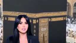 فن