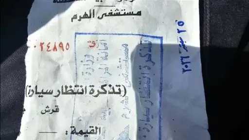 أخبار مصر