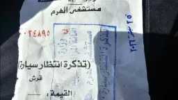 أخبار مصر