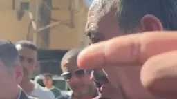 أخبار مصر