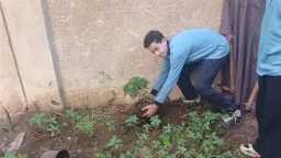 أخبار مصر